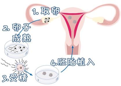 就诊环境